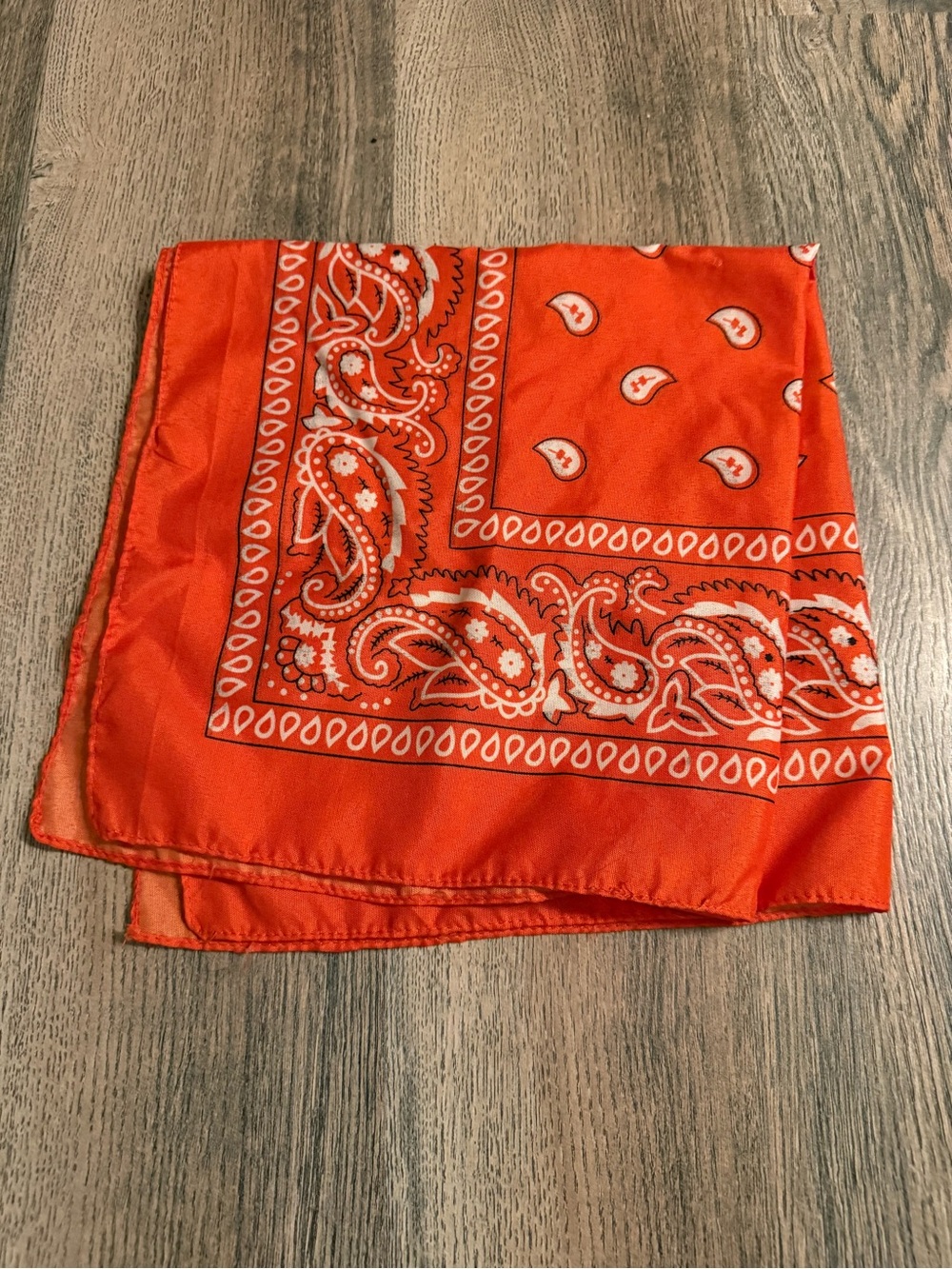 Red Paisley Print Bandana Face Mask
